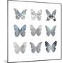 Butterfly Study II-Julia Bosco-Mounted Art Print