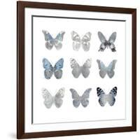 Butterfly Study II-Julia Bosco-Framed Art Print