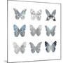 Butterfly Study II-Julia Bosco-Mounted Art Print