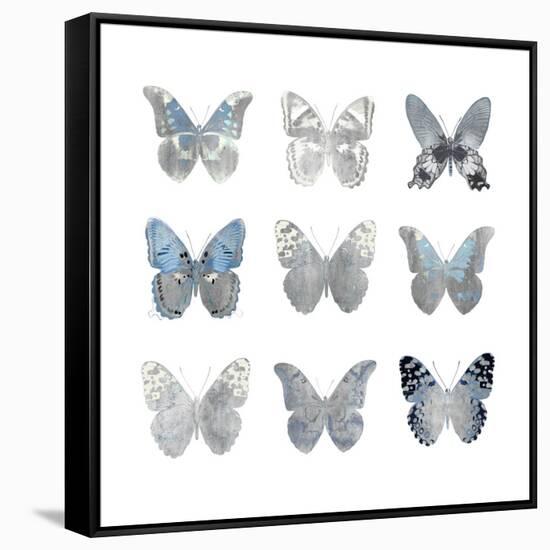 Butterfly Study II-Julia Bosco-Framed Stretched Canvas