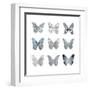 Butterfly Study II-Julia Bosco-Framed Art Print