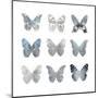 Butterfly Study II-Julia Bosco-Mounted Art Print