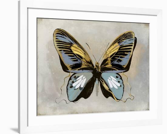 Butterfly Study II-Julia Bosco-Framed Art Print