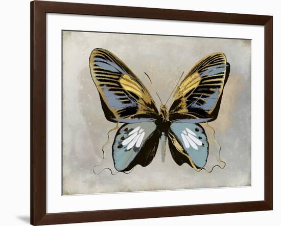 Butterfly Study II-Julia Bosco-Framed Art Print