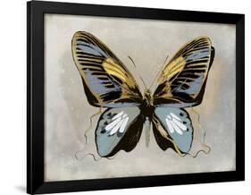 Butterfly Study II-Julia Bosco-Framed Art Print