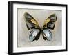 Butterfly Study II-Julia Bosco-Framed Art Print