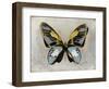 Butterfly Study II-Julia Bosco-Framed Art Print