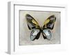 Butterfly Study II-Julia Bosco-Framed Art Print