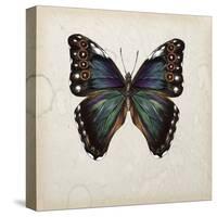 Butterfly Study III-Melissa Wang-Stretched Canvas