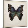 Butterfly Study III-Melissa Wang-Mounted Art Print