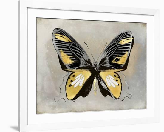 Butterfly Study III-Julia Bosco-Framed Art Print