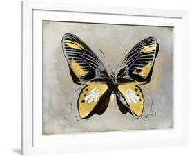 Butterfly Study III-Julia Bosco-Framed Art Print