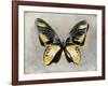 Butterfly Study III-Julia Bosco-Framed Art Print