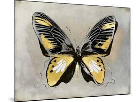 Butterfly Study III-Julia Bosco-Mounted Art Print