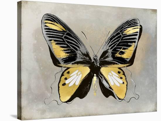 Butterfly Study III-Julia Bosco-Stretched Canvas