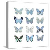 Butterfly Study in Blue I-Julia Bosco-Stretched Canvas