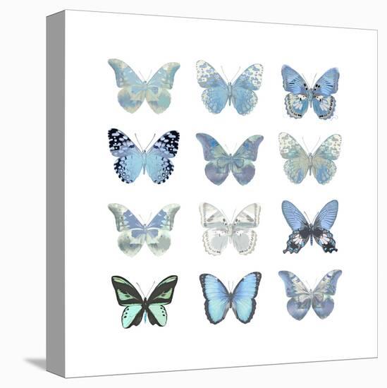 Butterfly Study in Blue I-Julia Bosco-Stretched Canvas