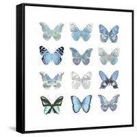 Butterfly Study in Blue I-Julia Bosco-Framed Stretched Canvas