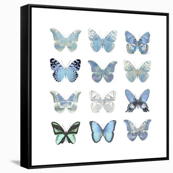 Butterfly Study in Blue I-Julia Bosco-Framed Stretched Canvas