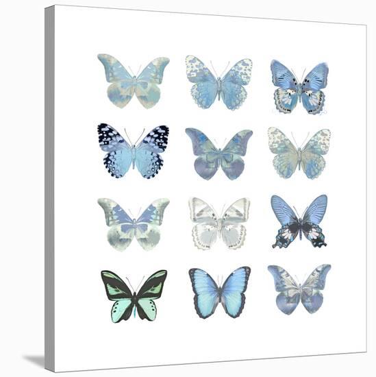 Butterfly Study in Blue I-Julia Bosco-Stretched Canvas