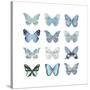 Butterfly Study in Blue I-Julia Bosco-Stretched Canvas