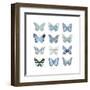 Butterfly Study in Blue I-Julia Bosco-Framed Art Print