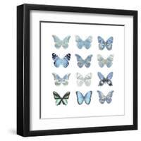 Butterfly Study in Blue I-Julia Bosco-Framed Art Print