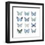 Butterfly Study in Blue I-Julia Bosco-Framed Art Print