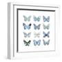 Butterfly Study in Blue I-Julia Bosco-Framed Art Print