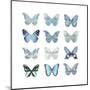 Butterfly Study in Blue I-Julia Bosco-Mounted Art Print