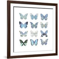 Butterfly Study in Blue I-Julia Bosco-Framed Art Print