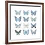 Butterfly Study in Blue I-Julia Bosco-Framed Art Print