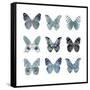 Butterfly Study in Blue II-Julia Bosco-Framed Stretched Canvas
