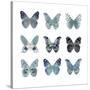 Butterfly Study in Blue II-Julia Bosco-Stretched Canvas