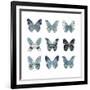 Butterfly Study in Blue II-Julia Bosco-Framed Art Print