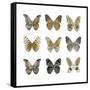 Butterfly Study in Gold I-Julia Bosco-Framed Stretched Canvas