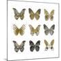 Butterfly Study in Gold I-Julia Bosco-Mounted Art Print