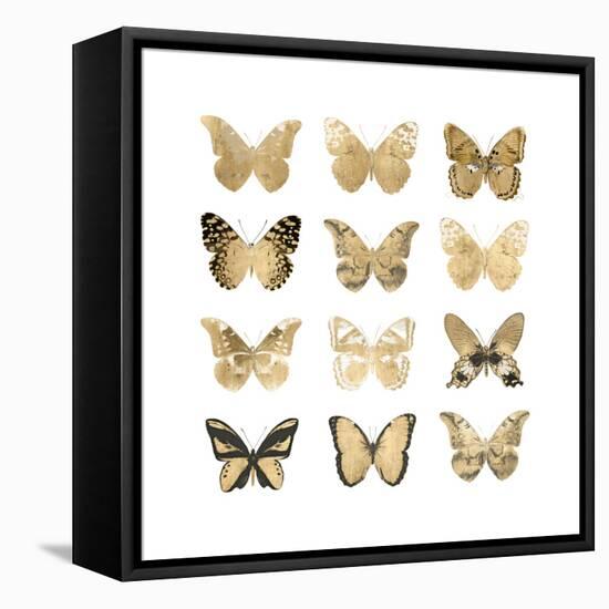 Butterfly Study in Gold II-Julia Bosco-Framed Stretched Canvas