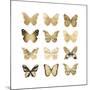 Butterfly Study in Gold II-Julia Bosco-Mounted Art Print