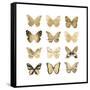 Butterfly Study in Gold II-Julia Bosco-Framed Stretched Canvas