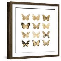 Butterfly Study in Gold II-Julia Bosco-Framed Art Print