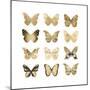 Butterfly Study in Gold II-Julia Bosco-Mounted Art Print