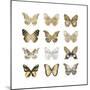 Butterfly Study in Gold III-Julia Bosco-Mounted Art Print