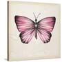 Butterfly Study IV-Melissa Wang-Stretched Canvas