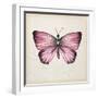 Butterfly Study IV-Melissa Wang-Framed Art Print