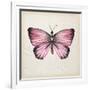 Butterfly Study IV-Melissa Wang-Framed Art Print