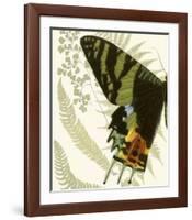 Butterfly Symmetry I-null-Framed Giclee Print