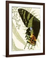 Butterfly Symmetry I-Vision Studio-Framed Art Print