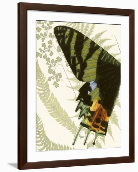 Butterfly Symmetry I-Vision Studio-Framed Art Print