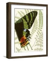 Butterfly Symmetry II-Vision Studio-Framed Art Print